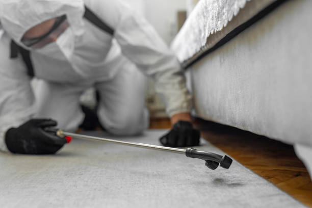 Professional Termite Control technician working in Myrtle Point, OR