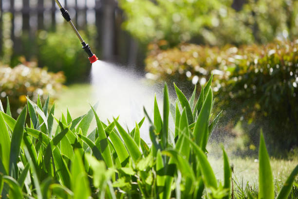 24/7 Emergency Termite Control experts in Myrtle Point, OR